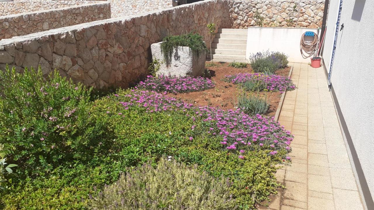 Lorena Cres Exterior foto
